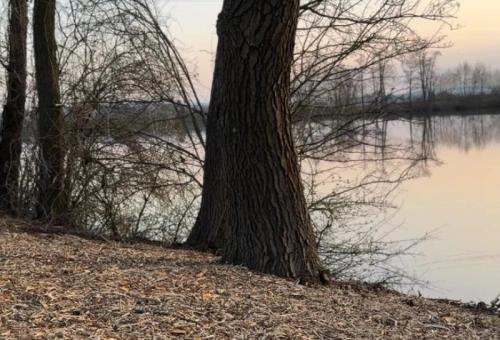 662a2c86c2087.webp
