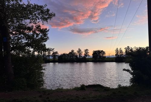 6a05b25c578fd.webp