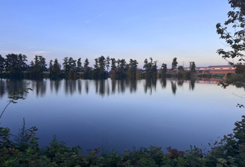 6671eece30022.webp