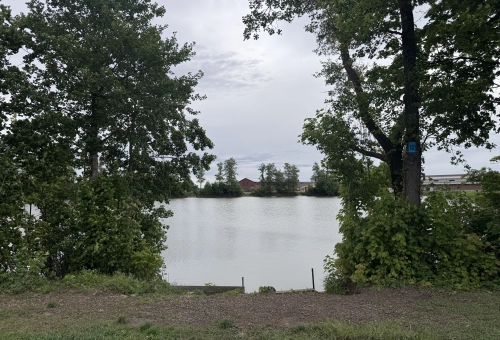 6a05a8963ad01.webp