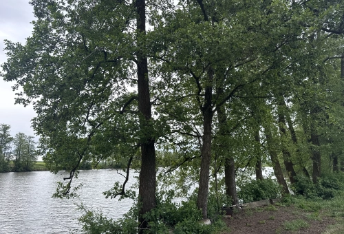 6a06f5aedf286.webp